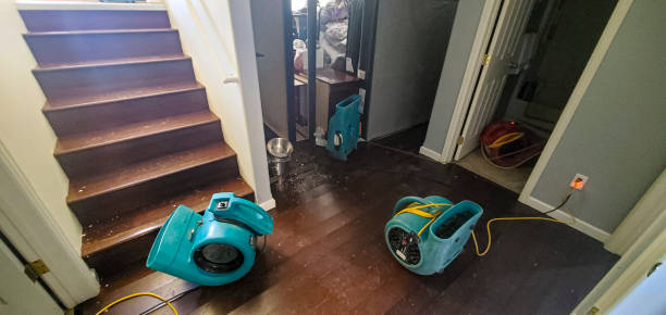 Best Flood restoration services  in South Woodstock, CT