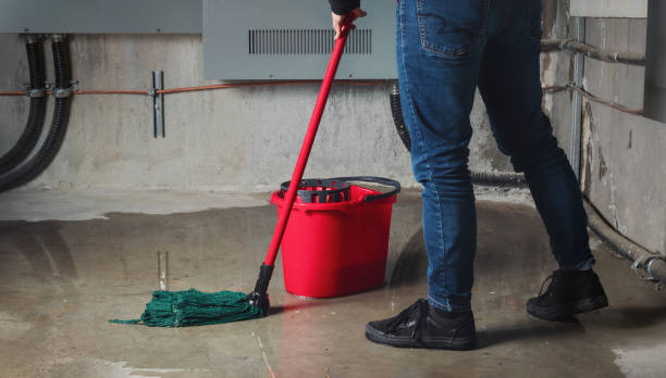 Best Basement water damage restoration  in South Woodstock, CT