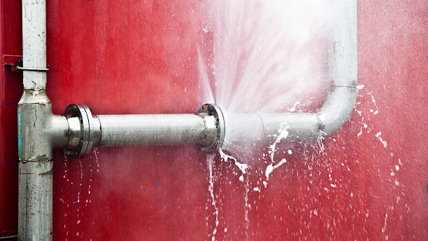 Best Professional water damage repair  in South Woodstock, CT
