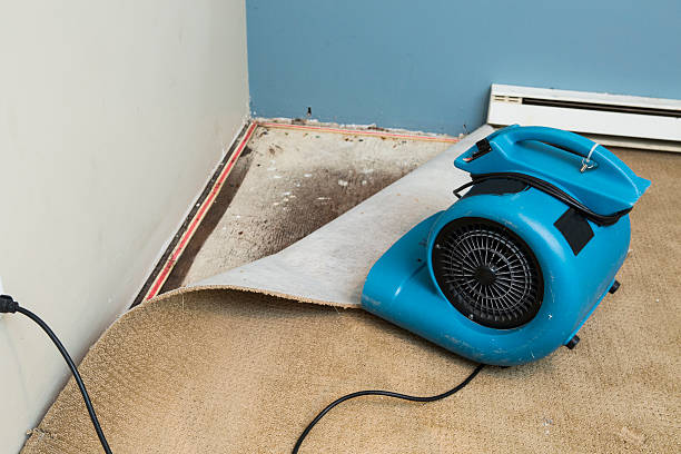 Best Flood damage cleanup  in South Woodstock, CT